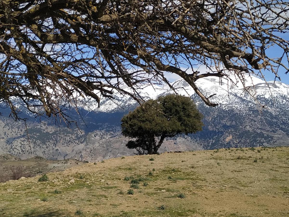 Il Silenzio Villa Magarikari Exteriör bild